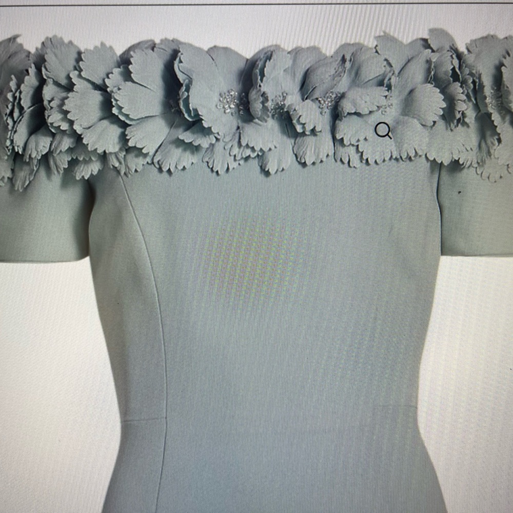 Catherine Regeher gown. Never worn